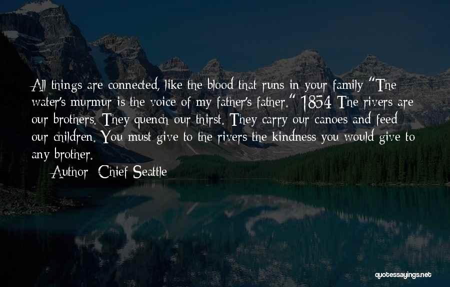 Blood Family Quotes By Chief Seattle