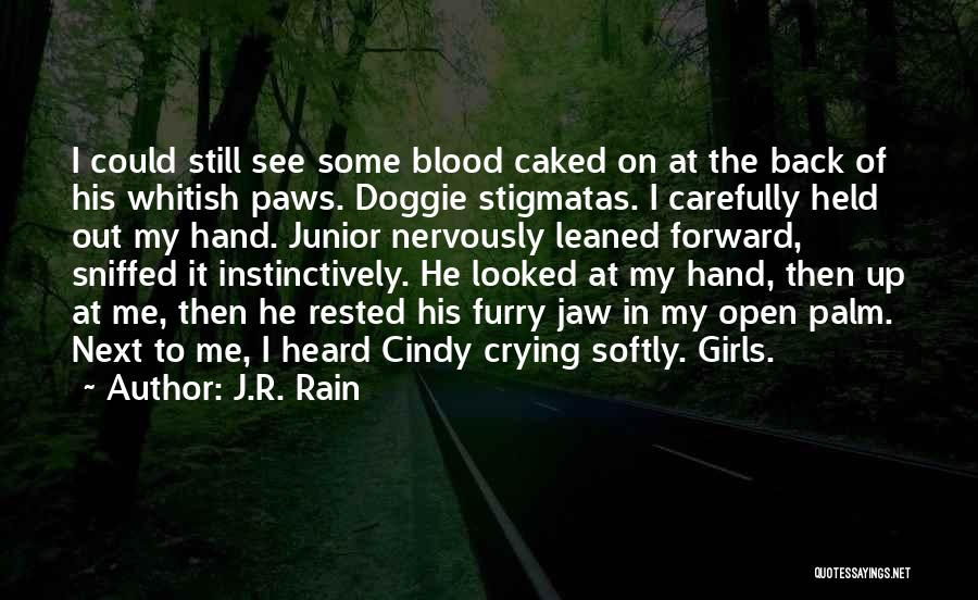 Blood In Out Quotes By J.R. Rain