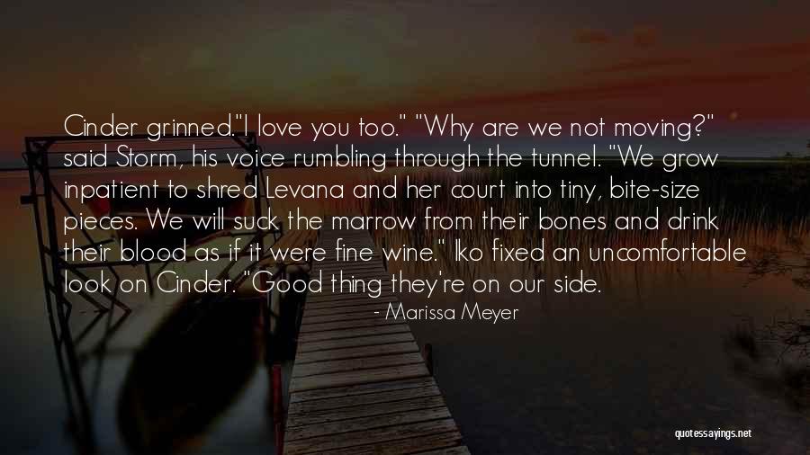 Blood Into Wine Quotes By Marissa Meyer Blood Into Wine Quotes By Marissa Meyer