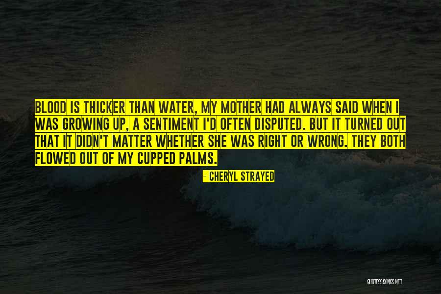 Blood Is Thicker Quotes By Cheryl Strayed Blood Is Thicker Quotes By Cheryl Strayed