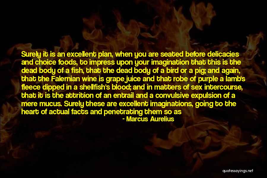 Blood Of The Lamb Quotes By Marcus Aurelius Blood Of The Lamb Quotes By Marcus Aurelius