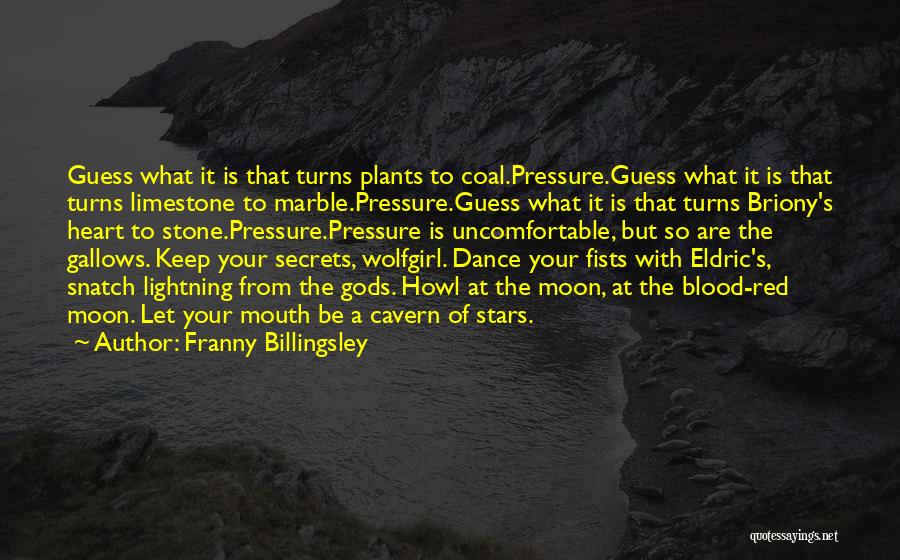 Blood Pressure Quotes By Franny Billingsley