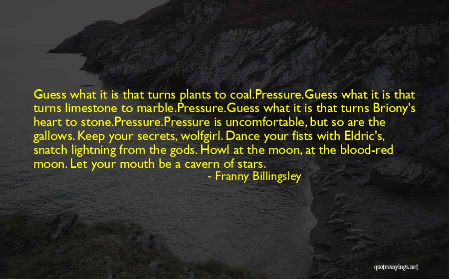 Blood Pressure Quotes By Franny Billingsley