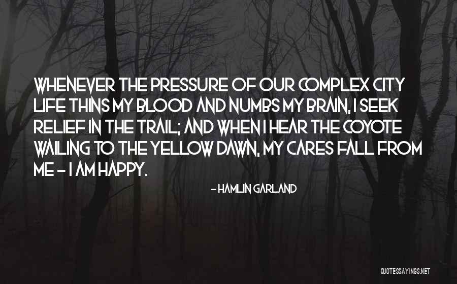 Blood Pressure Quotes By Hamlin Garland