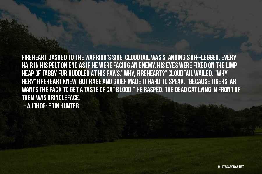 Blood Rage Quotes By Erin Hunter