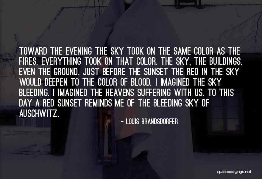 Blood Red Color Quotes By Louis Brandsdorfer