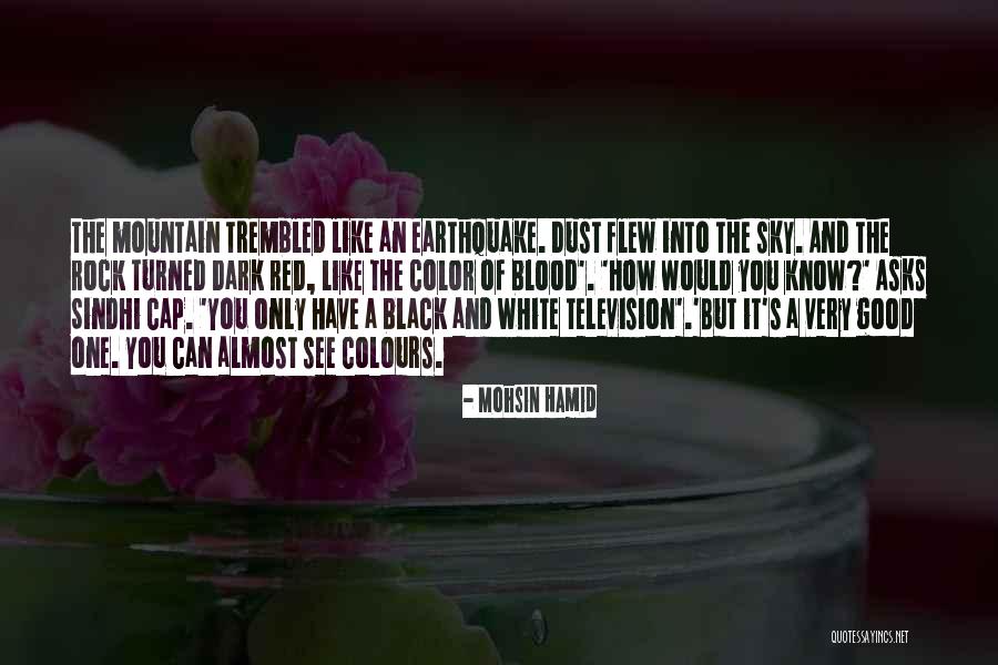 Blood Red Color Quotes By Mohsin Hamid