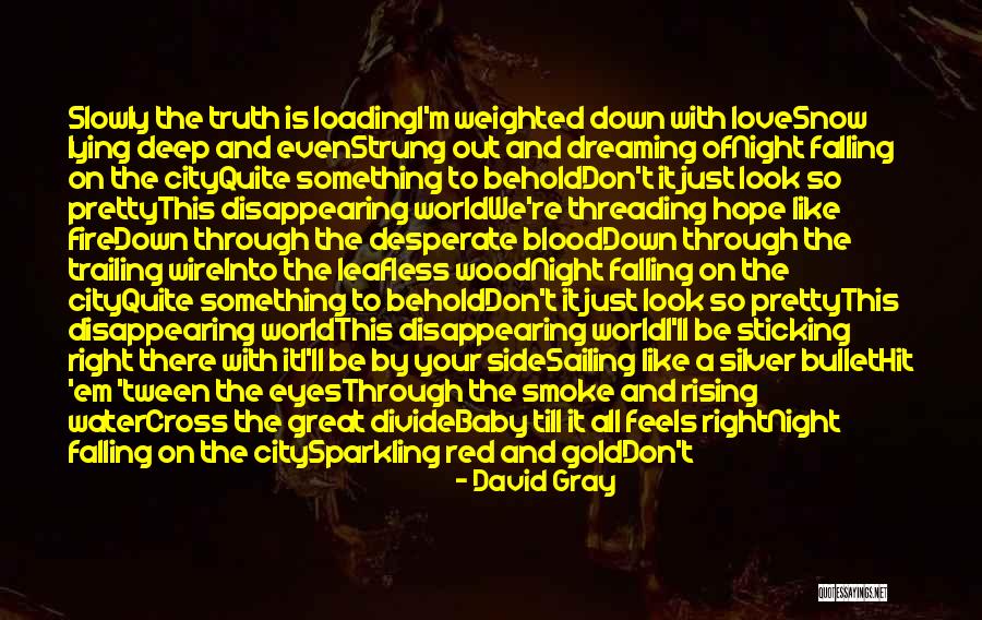 Blood Red Quotes By David Gray