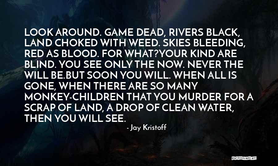 Blood Red Quotes By Jay Kristoff