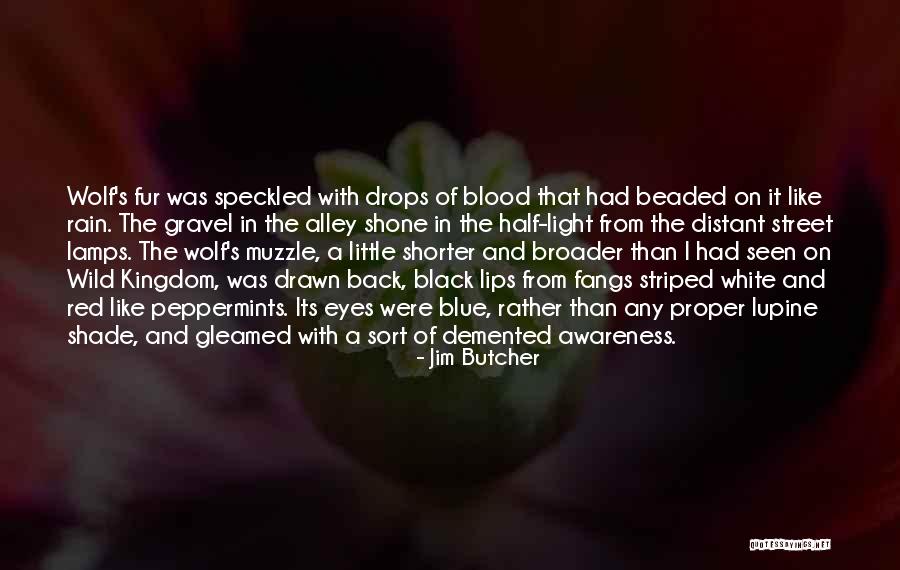 Blood Red Quotes By Jim Butcher