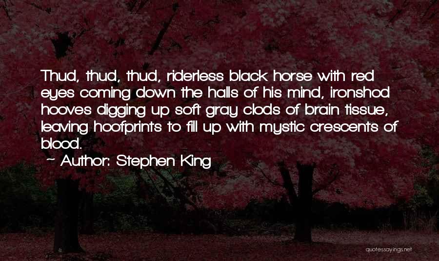 Blood Red Quotes By Stephen King