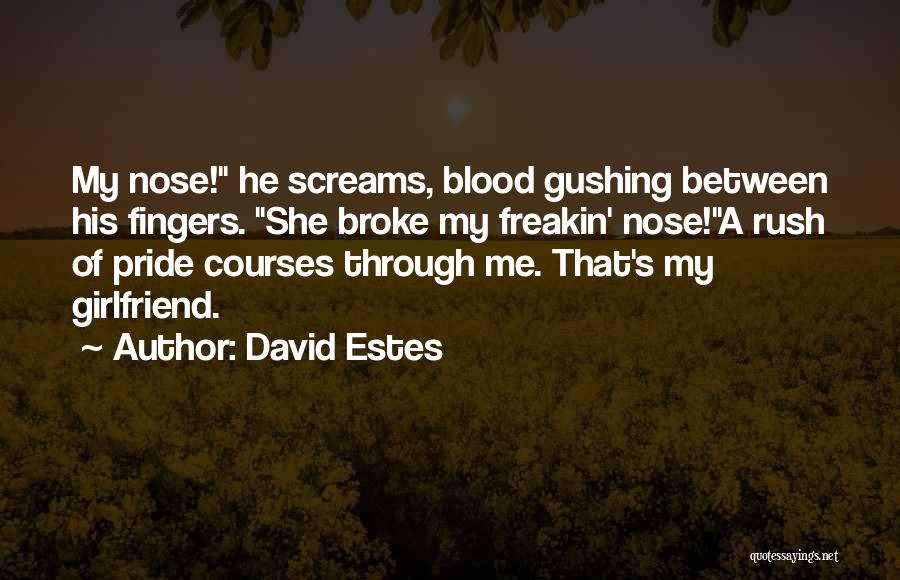 Blood Rush Quotes By David Estes