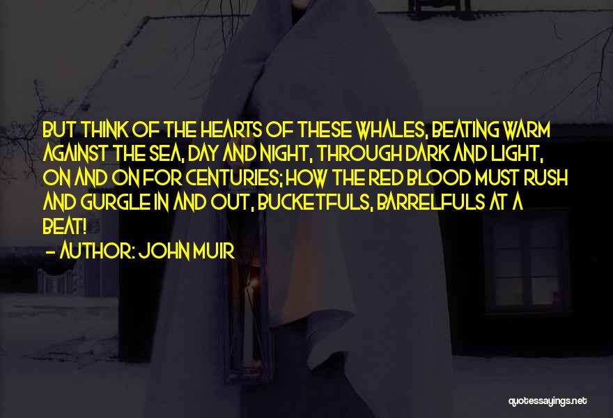 Blood Rush Quotes By John Muir