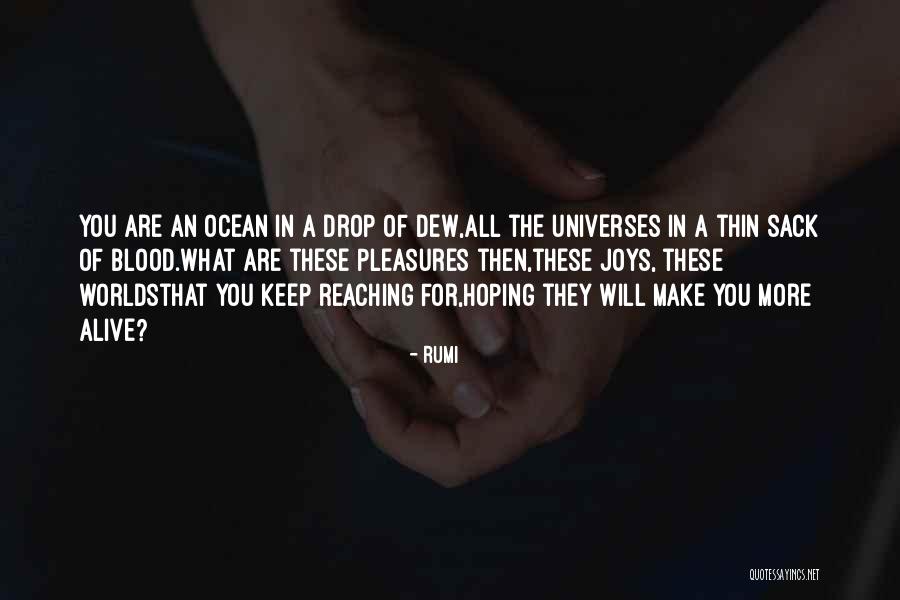 Blood Sack Quotes By Rumi Blood Sack Quotes By Rumi