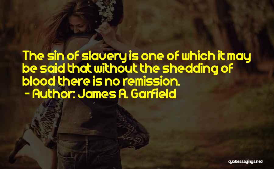 Blood Shedding Quotes By James A. Garfield