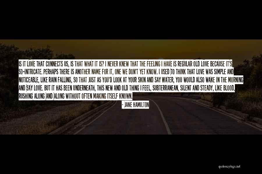 Blood Simple Quotes By Jane Hamilton Blood Simple Quotes By Jane Hamilton
