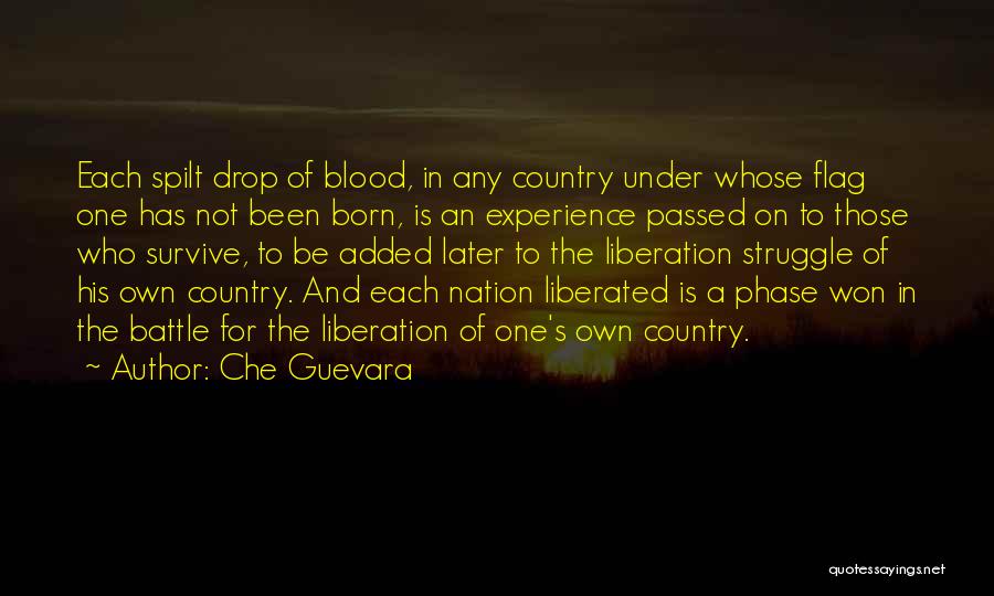 Blood Spilt Quotes By Che Guevara