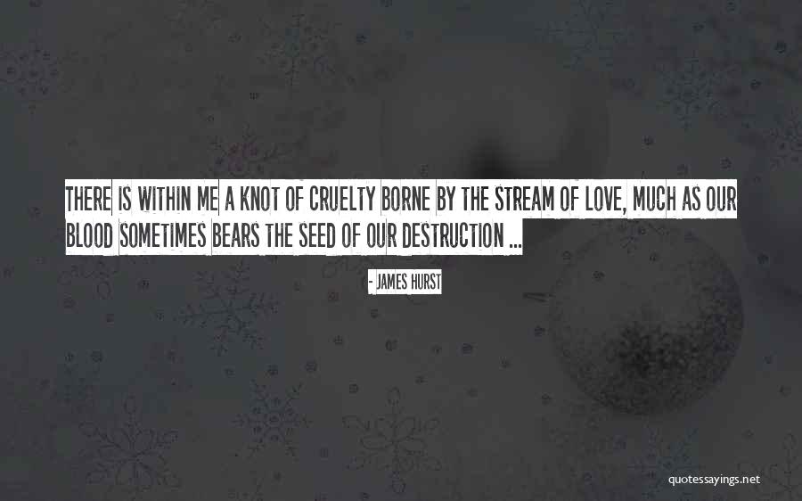 Blood Stream Quotes By James Hurst Blood Stream Quotes By James Hurst