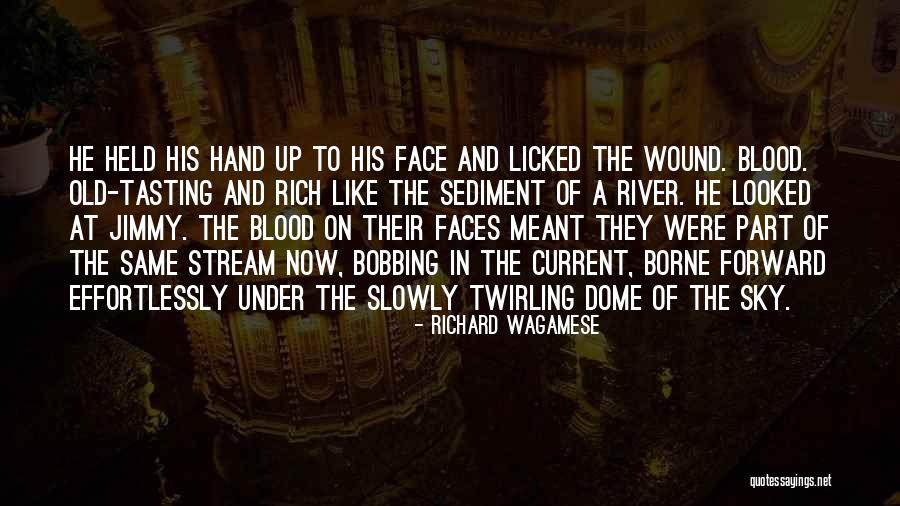 Blood Stream Quotes By Richard Wagamese Blood Stream Quotes By Richard Wagamese