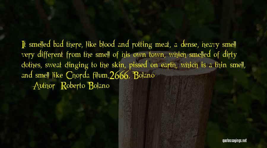 Blood Sweat Quotes By Roberto Bolano