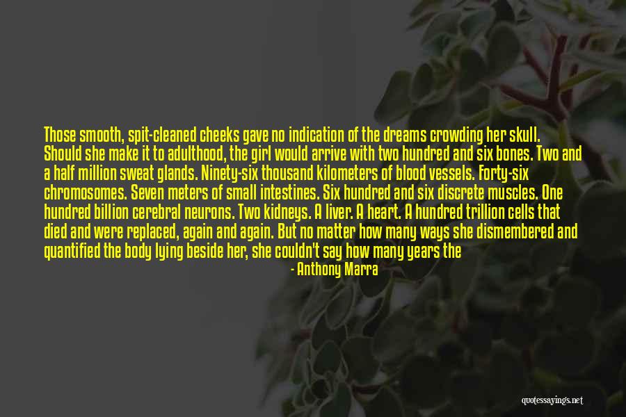 Blood Vessels Quotes By Anthony Marra Blood Vessels Quotes By Anthony Marra