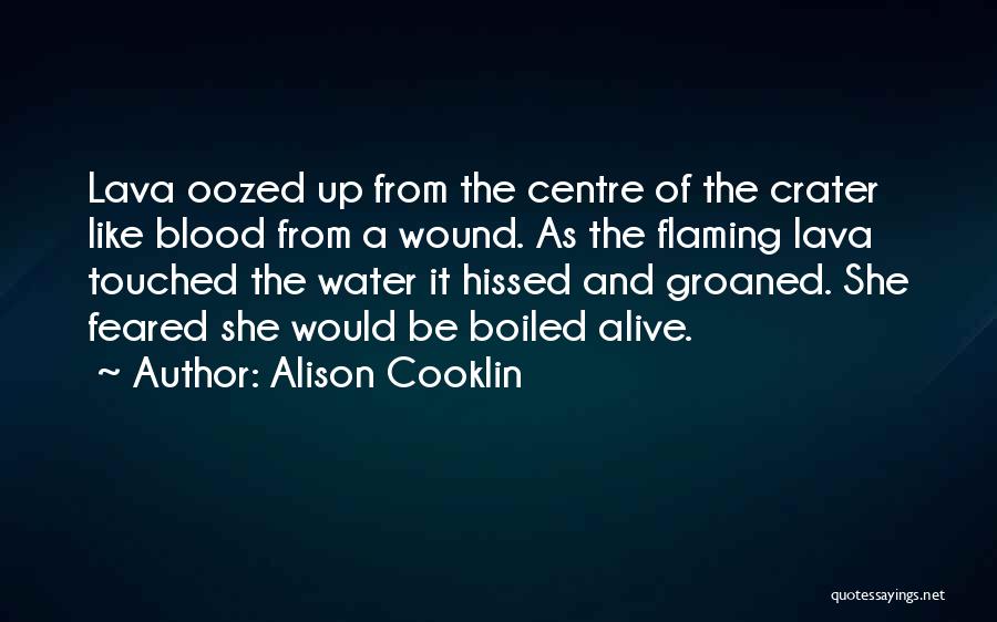 Blood Water Quotes By Alison Cooklin