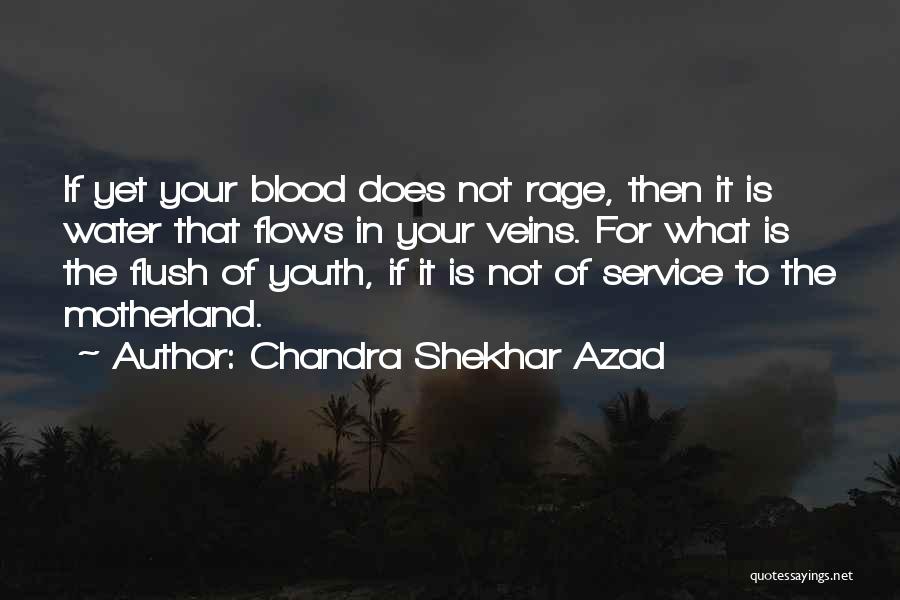 Blood Water Quotes By Chandra Shekhar Azad