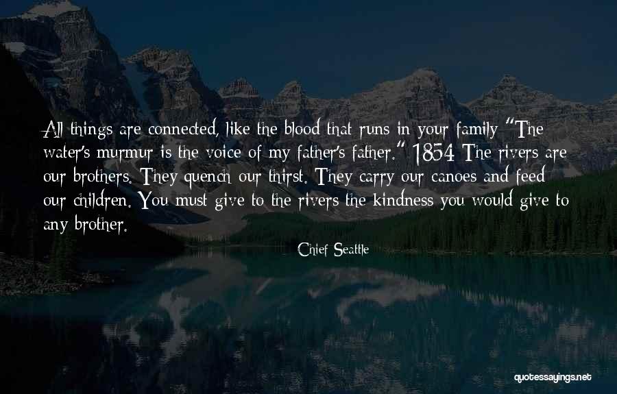 Blood Water Quotes By Chief Seattle