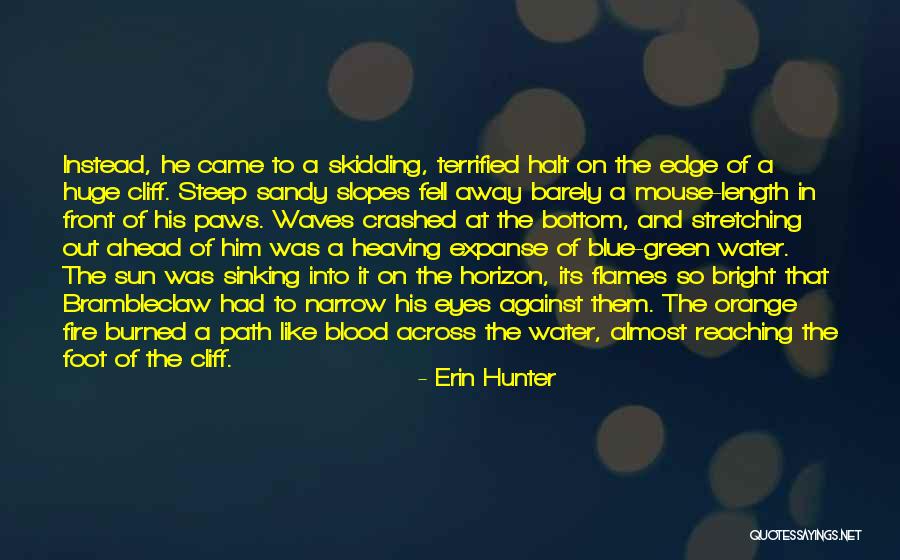 Blood Water Quotes By Erin Hunter