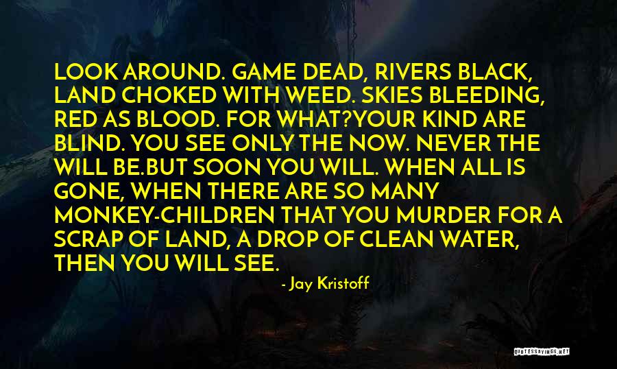 Blood Water Quotes By Jay Kristoff