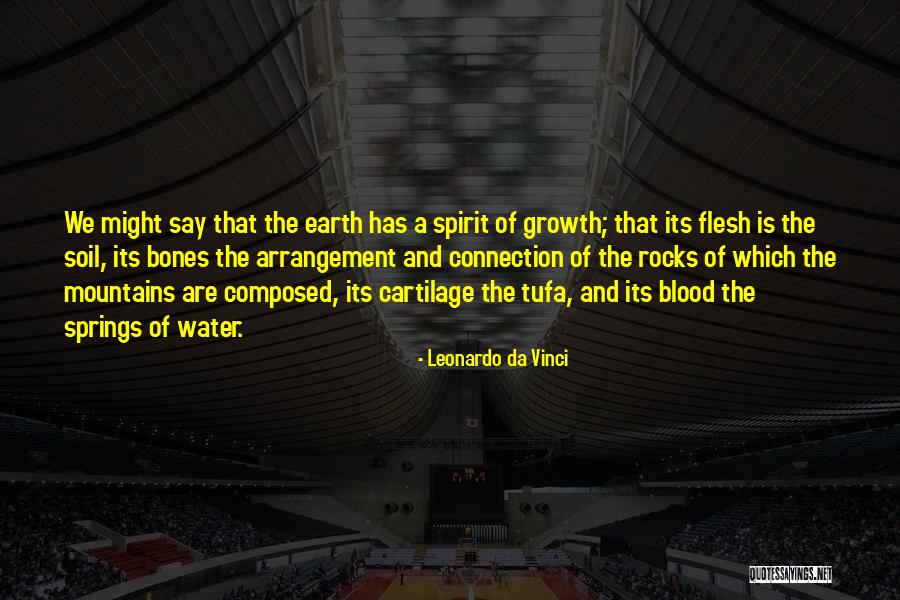 Blood Water Quotes By Leonardo Da Vinci