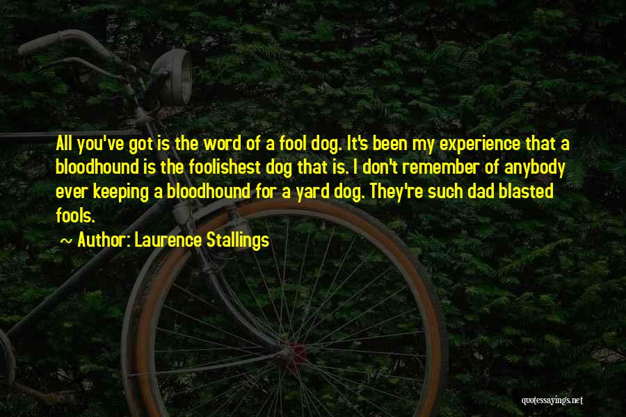 Bloodhound Dog Quotes By Laurence Stallings