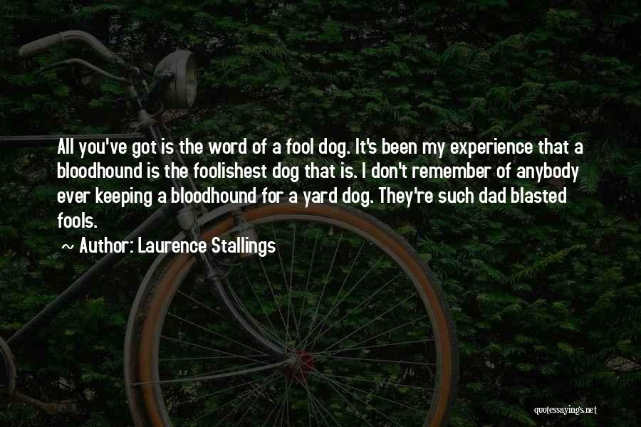 Bloodhound Quotes By Laurence Stallings