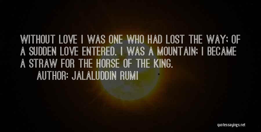 Bloodless Medicine Quotes By Jalaluddin Rumi