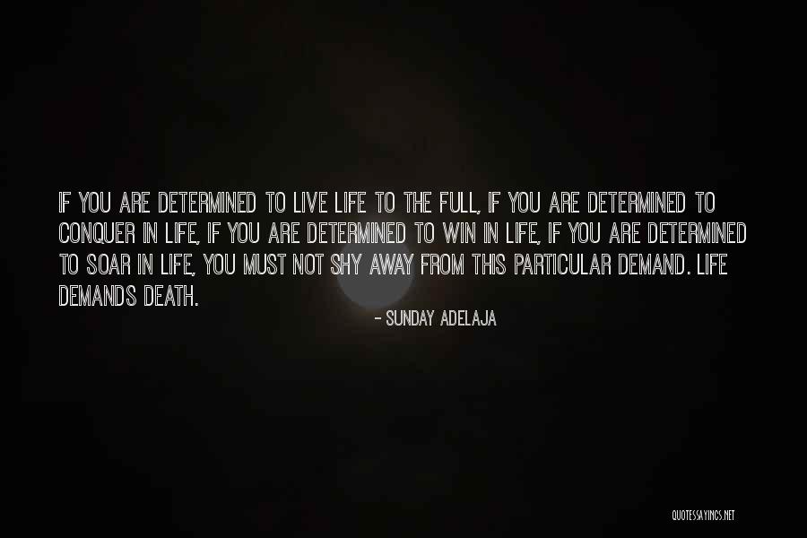 Bloodmark Mentor Quotes By Sunday Adelaja Bloodmark Mentor Quotes By Sunday Adelaja