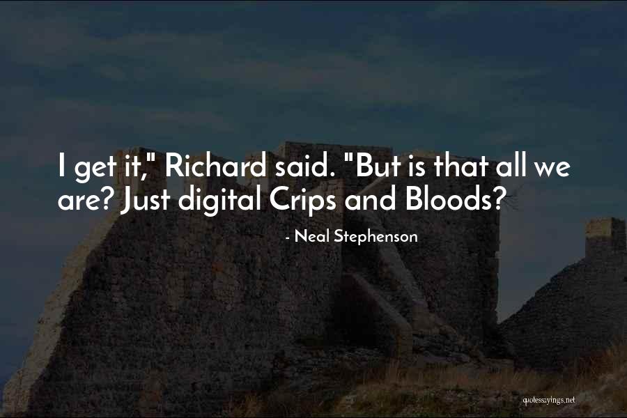 Bloods Vs Crips Quotes By Neal Stephenson