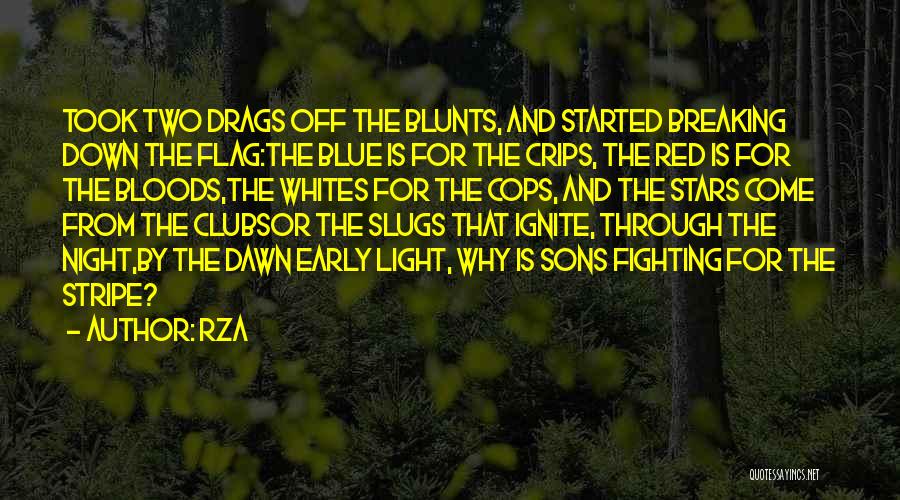 Bloods Vs Crips Quotes By RZA