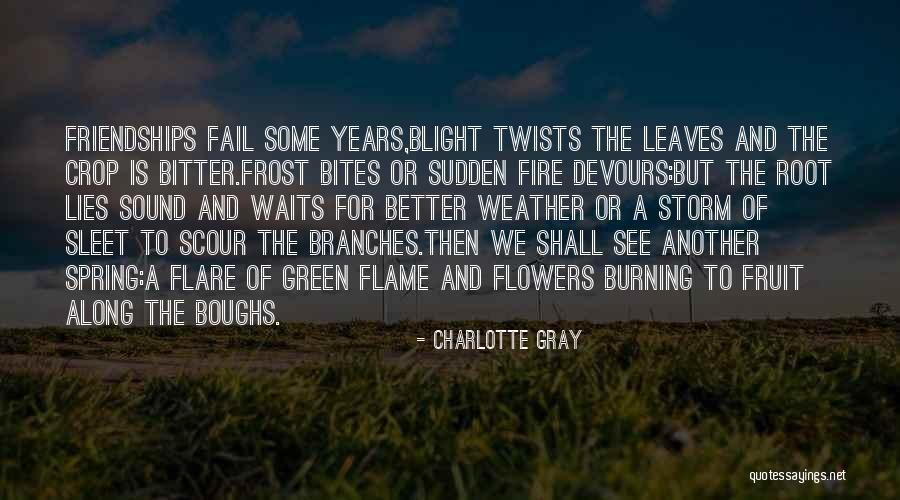 Bloodsaw Family Tree Quotes By Charlotte Gray Bloodsaw Family Tree Quotes By Charlotte Gray