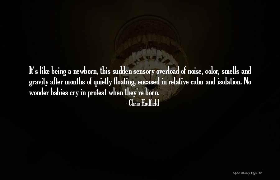 Bloom Kevin Panetta Quotes By Chris Hadfield Bloom Kevin Panetta Quotes By Chris Hadfield