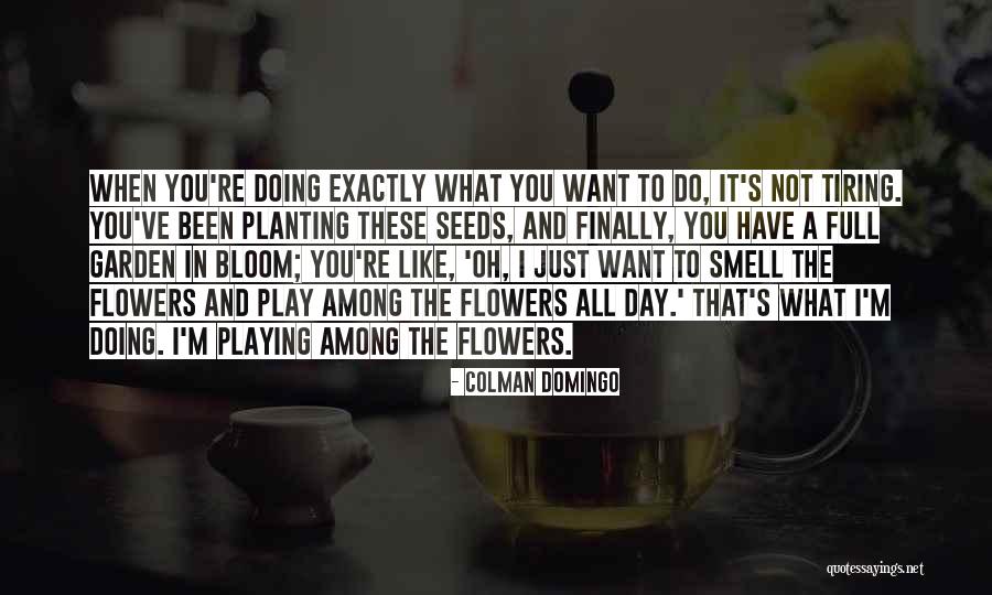 Bloom Like Flowers Quotes By Colman Domingo Bloom Like Flowers Quotes By Colman Domingo