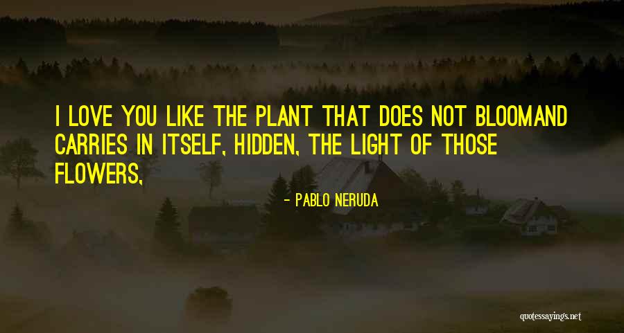 Bloom Like Flowers Quotes By Pablo Neruda Bloom Like Flowers Quotes By Pablo Neruda