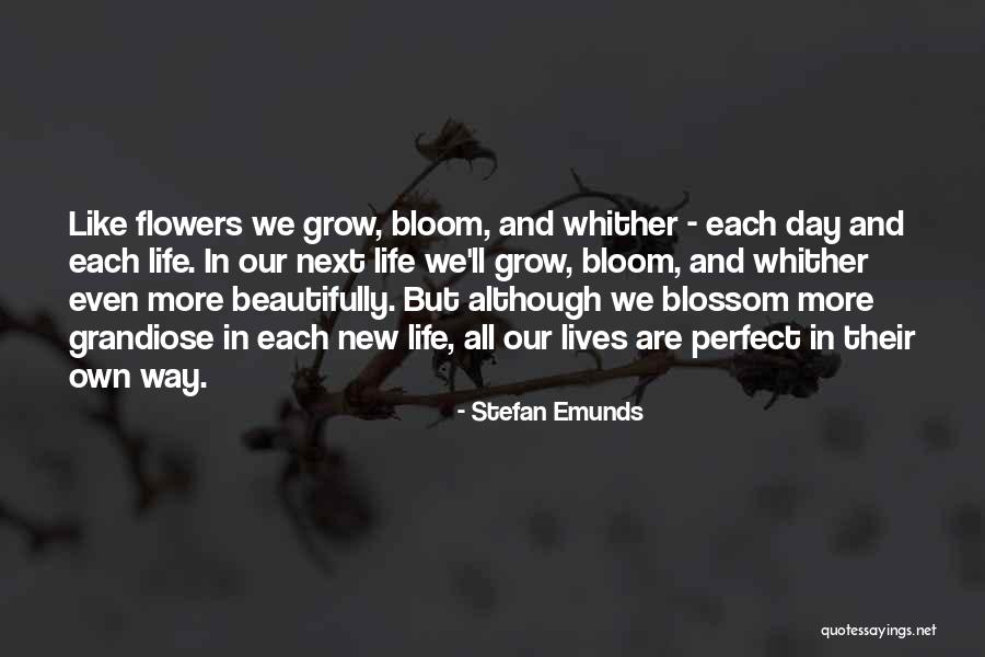 Bloom Like Flowers Quotes By Stefan Emunds Bloom Like Flowers Quotes By Stefan Emunds