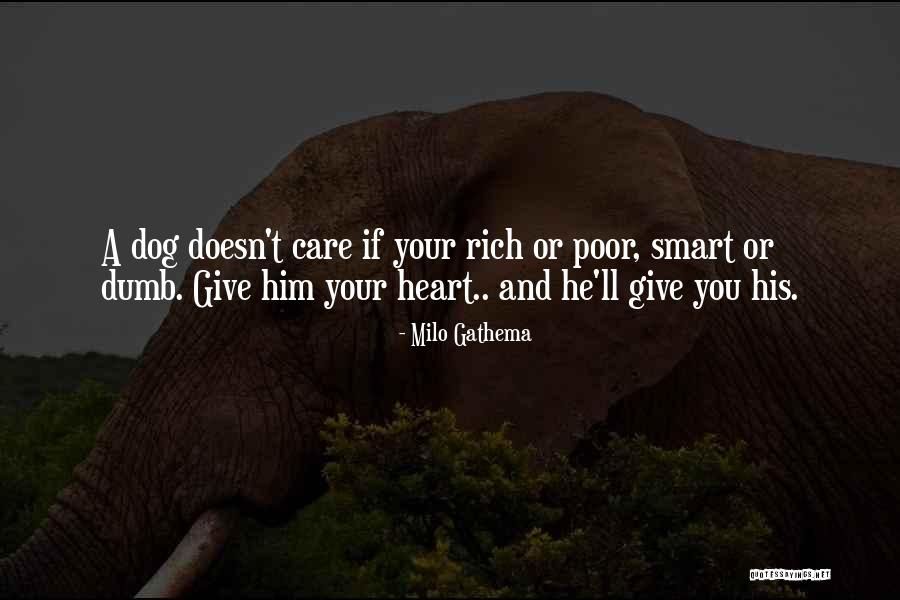 Bloomgren Galesburg Quotes By Milo Gathema Bloomgren Galesburg Quotes By Milo Gathema