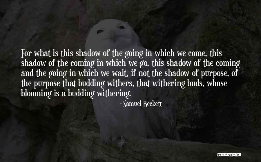 Blooming Buds Quotes By Samuel Beckett Blooming Buds Quotes By Samuel Beckett