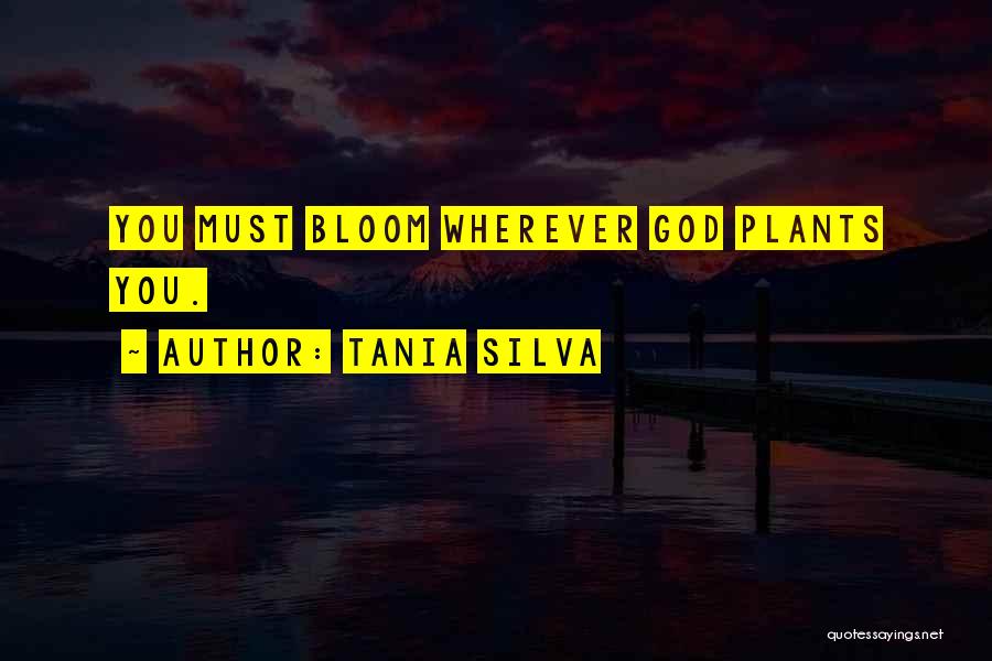 Blooming Quotes By Tania Silva