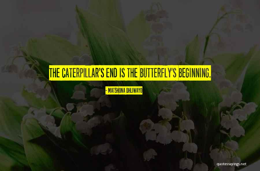 Blooming Quotes Quotes By Matshona Dhliwayo Blooming Quotes Quotes By Matshona Dhliwayo
