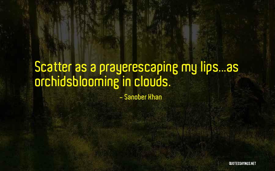 Blooming Quotes Quotes By Sanober Khan Blooming Quotes Quotes By Sanober Khan