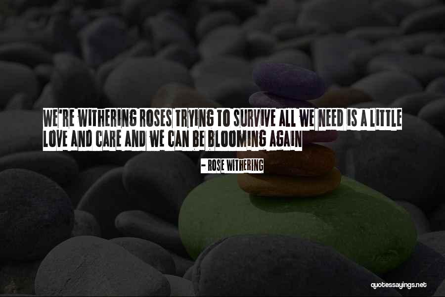 Blooming Roses Quotes By Rose Withering Blooming Roses Quotes By Rose Withering