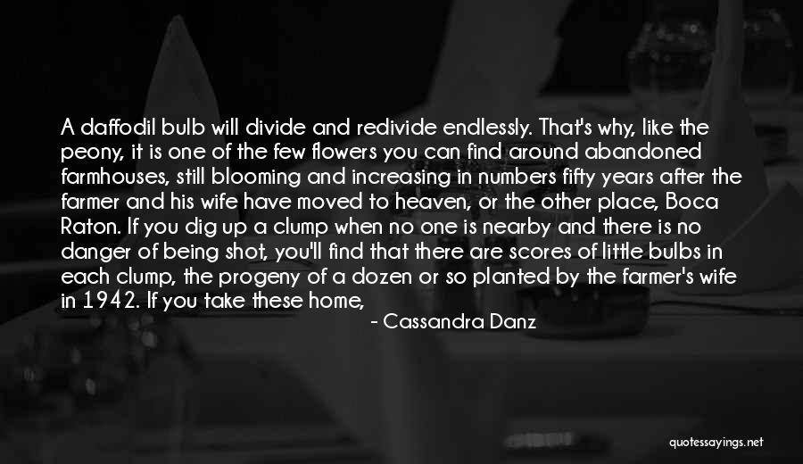 Blooming Where You're Planted Quotes By Cassandra Danz