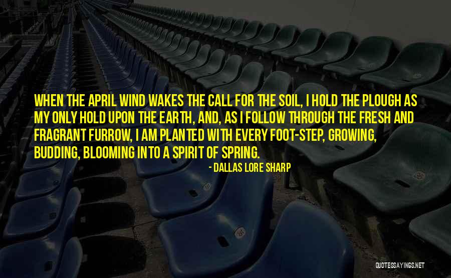 Blooming Where You're Planted Quotes By Dallas Lore Sharp